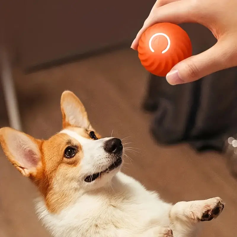 Automatic Rolling Ball Toy